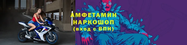 СК Ельня