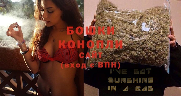 СК Ельня