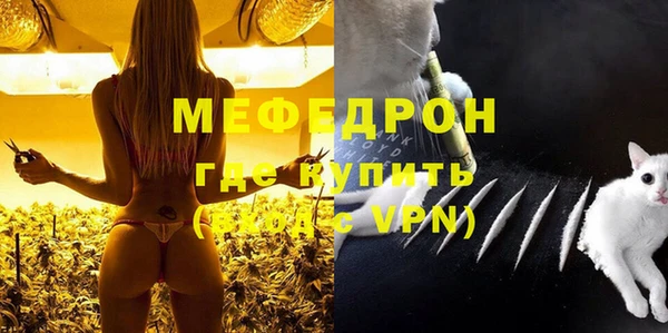 СК Ельня