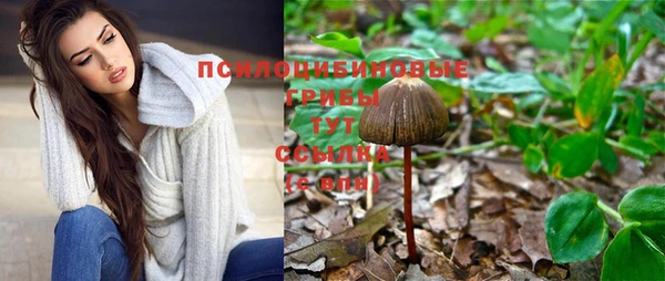 СК Ельня