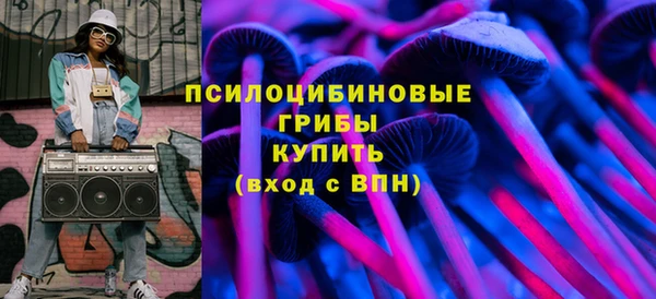 spice Елабуга