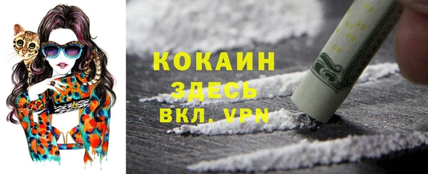 мескалин Заводоуковск