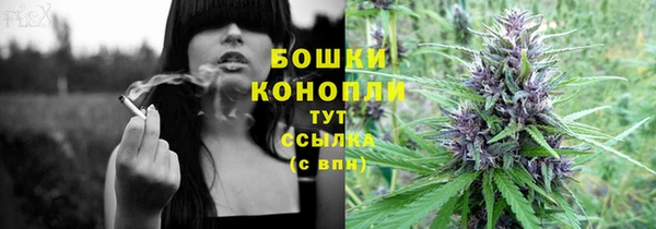 мескалин Заводоуковск