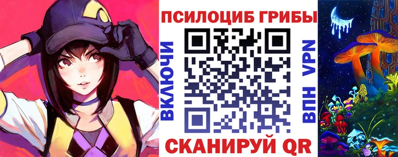 OMG рабочий сайт  где продают   Лесной  Псилоцибиновые грибы прущие грибы 