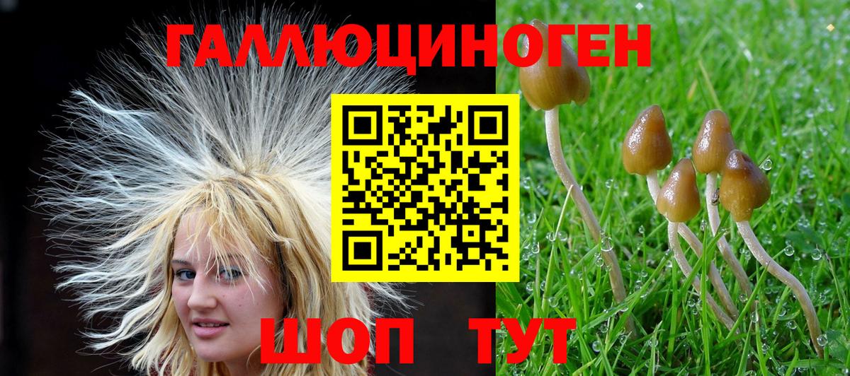 Галлюциногенные грибы мухоморы  что такое   Лесной  Вход с VPN 