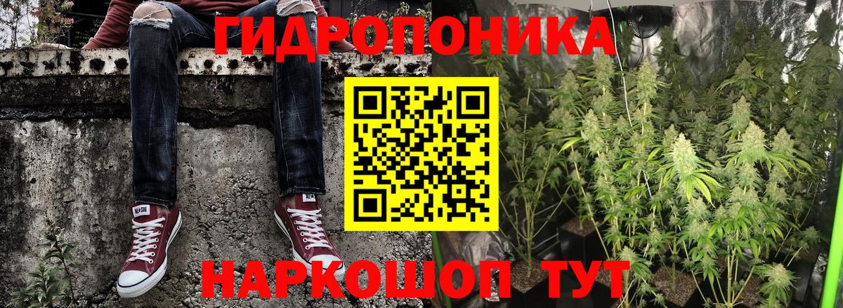 Каннабис планчик  Каннабис White Widow  Лесной  Канабис марихуана  Вход с VPN 